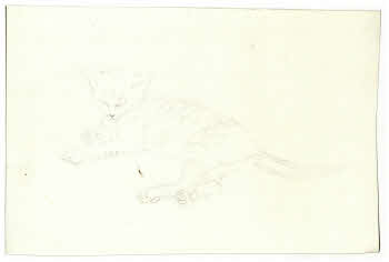 Visualizza l'immagine "FD D 143"